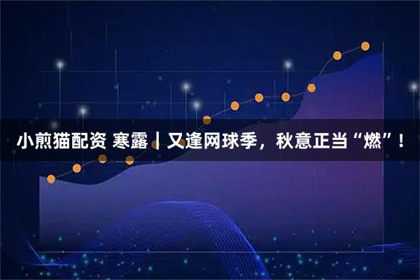 小煎猫配资 寒露｜又逢网球季，秋意正当“燃”！