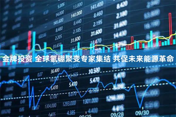 金牌投资 全球氢硼聚变专家集结 共促未来能源革命