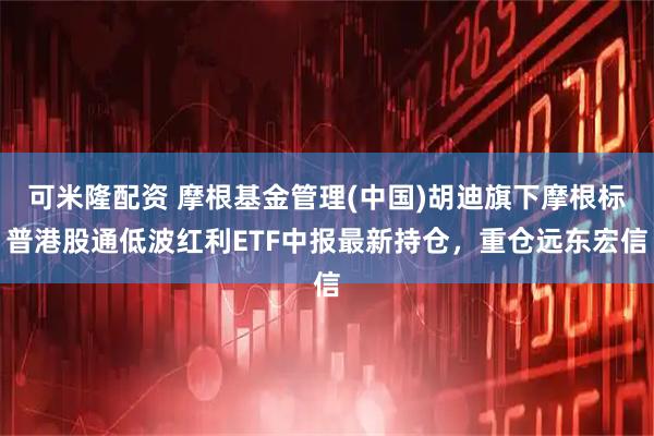 可米隆配资 摩根基金管理(中国)胡迪旗下摩根标普港股通低波红利ETF中报最新持仓，重仓远东宏信